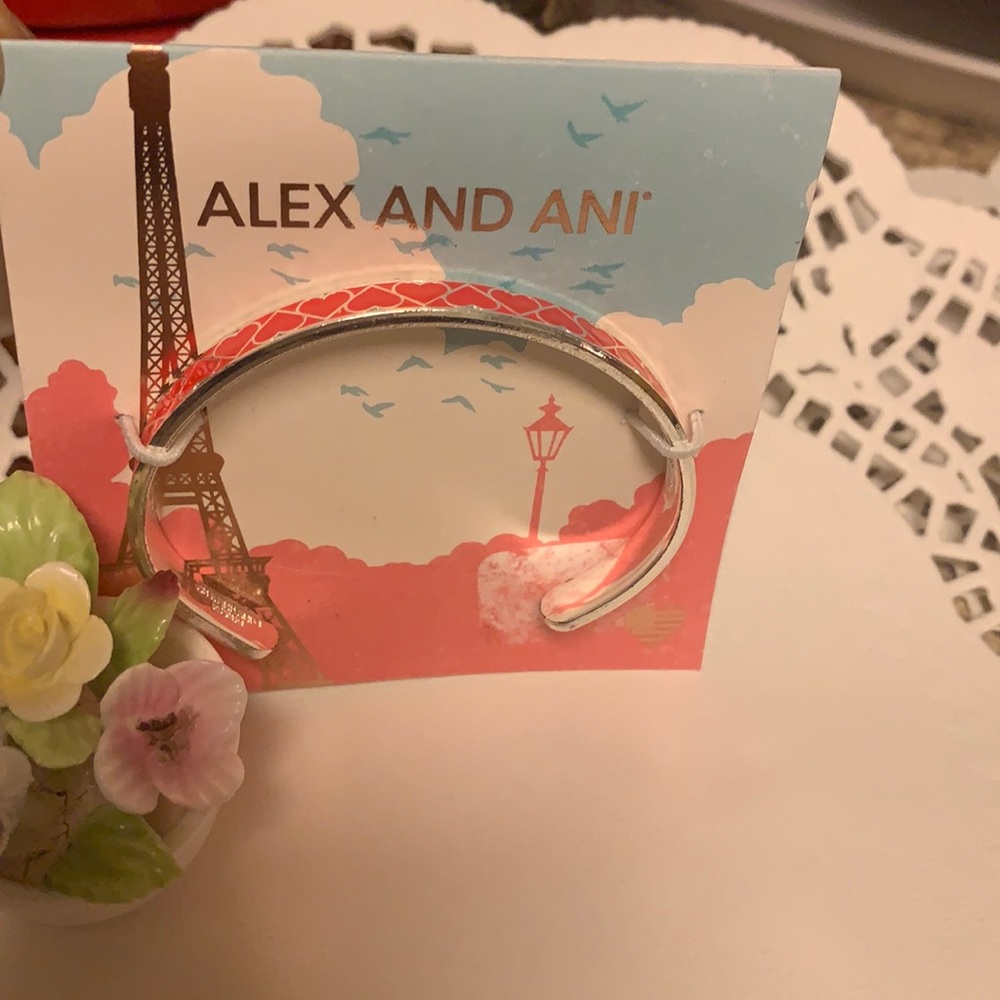 Alex and Ani bangle bracelet